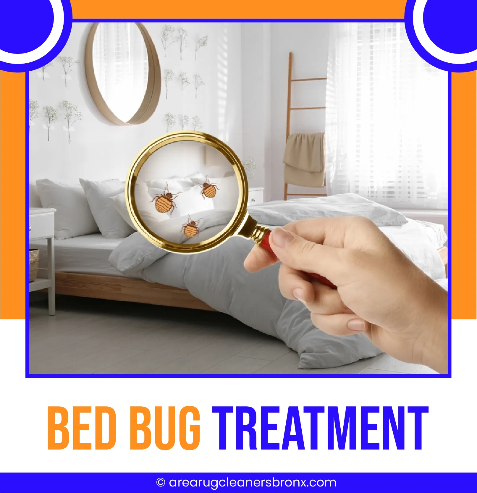 Bed Bug Treatment